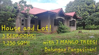 #vlog #660 Unfinish House with 3 Bedroom 1,250 Sqm!with 7 MANGO TREES!