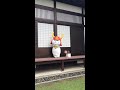 ひこにゃん～雨の日のカウントダウン～