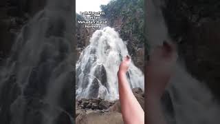 Lodh Waterfalls, Lodh falls Mahuadanr, Kukud, Jharkhand #shortvideo #viralvideo #netarhatjharkhand 🌲