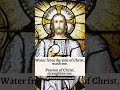 Anima Christi  |  Soul of Christ (Sanctify Me) | #shorts