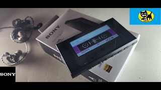 Sony NW-A306 HD Walkman Q&A Viewer Questions ANSWERED!