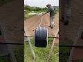 No rain in sight- installing drip tape #irrigation #farming #homestead #garden #shorts