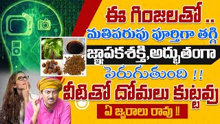 ఈ గింజలతో మతిపరుపు పూర్తిగా తగ్గి జ్ఞాపకశక్తి, అద్భుతంగా పెరుగుతుంది | Memory Power | AYUR MANTRA