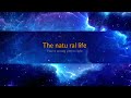 Breaking Benjamin - Natural Life karaoke.