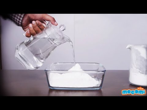 Cornstarch and Water Bonding - Cool Science Experiment | Mocomi Kids Cornstarch and Water Bonding - Cool Science Experiment | Mocomi Kids