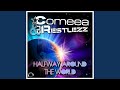 Halfway Around the World (Megastylez Remix Edit)