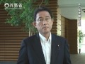 岸田外務大臣会見（平成29年7月11日）