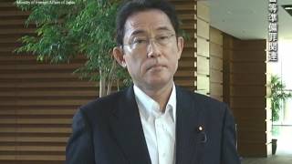 岸田外務大臣会見（平成29年7月11日）