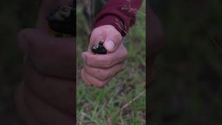 How to light a broken lighter to survive #watch until the end #knowledge #jpc