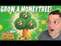 How to grow a MONEY TREE in Animal Crossing New Horizons