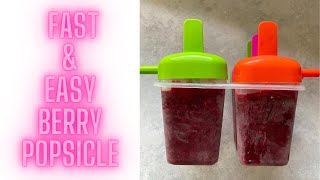 Berry Popsicle Super Easy & Fast GERD Acid Reflux Diabetes Diabetic Friendly