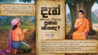 දැන් තියෙන ප්‍රශ්නය ? | ආසාව නිසයි දුක | 06.06.2021 | දම් විම්සුම | අකම්පිත