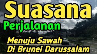 SERUNYA Perjalanan Menuju Sawah Di Brunei || Bertemu Temanku  Di Ladang Padi Brunei Darussalam