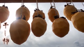 秋の風物詩！干し柿の作り方と保存術 | DIY Dried Persimmons