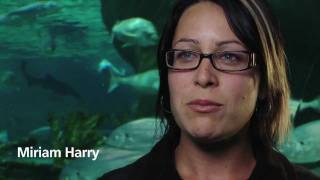 Pacu - National Aquarium of New Zealand