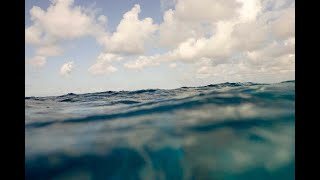 Water Temperatures off Florida Soar Over 100 Degrees F!