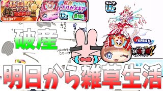 【ぷにぷに】マジで破産…UZ紅白アイドルエルゼメキア出るまで紅白ニャンボガシャやったらやっぱり酷い事になった… Yo-kai Watch