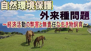 【沖縄の声】自然環境保護と外来種問題～経済活動の弊害と無責任な生き物の飼育～[桜R3/9/7]