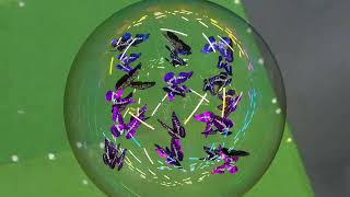 上から見たシャボン玉内のモルフォ蝶(gym_01) ／ Morpho butterflies inside a soap bubble seen from above