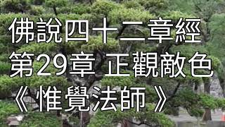 《佛說四十二章經》──第二十九章 正觀敵色《惟覺法師》【聽經閣】