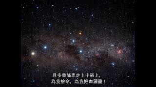 星空中那獨特南十字星