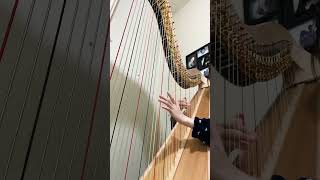 Solas - Jamie Duffy #harp #music #musiccover #solas #piano
