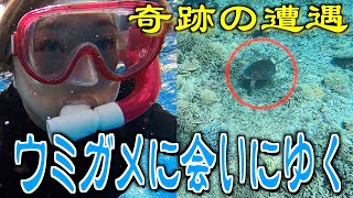 【奇跡】コバルトブルーの海で美奈子が「ウミガメ」に感動の初遭遇なるか！？