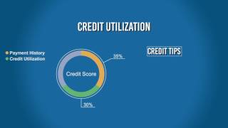 Understand the Credit Score Algorithm: Credit Utilization - don't let accounts go dormant!.