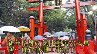 新年に輝く気比神宮の大鳥居…保存修理工事完了