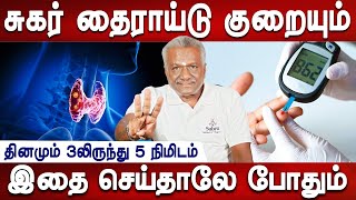 மருந்து மாத்திரை தேவை இல்லை | Diabetes , thyroid  treatment | Dr.Subramnian Nachiappan | Mr ladies