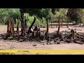 mozambican army destroys rebel base