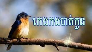 កេងកងបាត់កូន រស់ សេរីសុទ្ធា