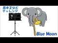 blue moon 黒本２などチャレンジ