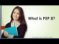 What is PEP 8 in python