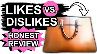 LIKES vs DISLIKES Cluci Laptop Briefcase Bag REVIEW