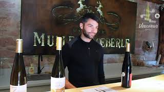 3 Vins... 1 Domaine, le Domaine Muller Koeberlé