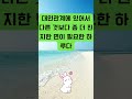 1월29일오늘에운세