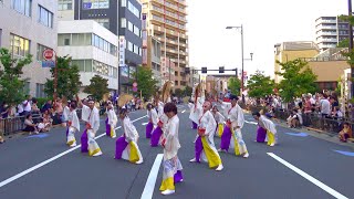 【4K】須賀IZANAI連関東（ひのよさこい2023/多摩平演舞場)