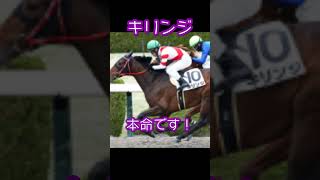 【シリウスS予想】JRA公式のデータ分析から当たり馬券を導き出す！！！