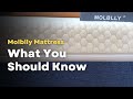 Molblly Mattress Review - Amazon Memory Foam Mattress Review