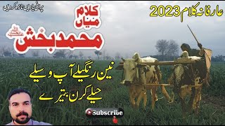 Kalam Mian Muhammad Bakhsh Punjabi Arifana Kalam 2023 Golden Word Waqar Ali