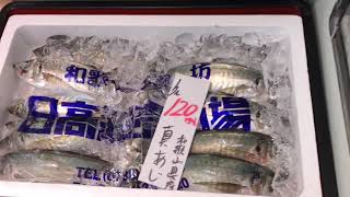 名古屋市御器所　スーパー　7/6 鮮魚コーナーお買い得品