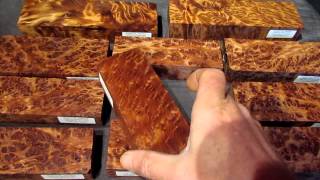 Redwood Burl