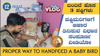 Proper way to Handfeed a Baby Bird / ಪಕ್ಷಿಮರಿಗಳಿಗೆ ಆಹಾರ ತಿನಿಸುವ ವಿಧಾನ ಸಂಪೂರ್ಣ ವೀಡಿಯೋ