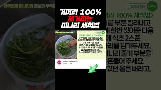 미나리 거머리, 불순물 100% 제거하는 세척 #shorts