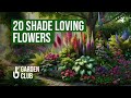 20 Stunning Shade Loving Flowers