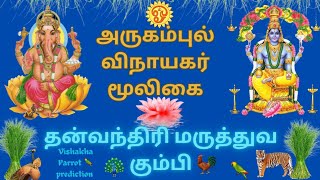 அருகம்புல் விநாயகர் மூலிகை| Dhanvanthri Maruthuva Kumbi|தன்வந்திரி மருத்துவ கும்பி vishakha Parrot🦜