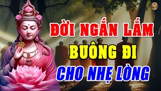 CUỘC ĐỜI NÀY HÀ CỚ CHI PHẢI MUỘN PHIỀN Sống Buông Bỏ Để Sống Nhẹ Lòng Hơn - Giác Ngộ Từ Tâm