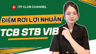 Phân tích cổ phiếu TCB, STB, VIB: Săn Sóng Lớn, Đón Lãi Đỉnh!