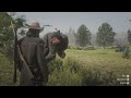 red dead redemption 2 invisible glitch 2024 12 1 11 17 50